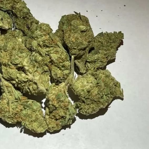 Black Russian